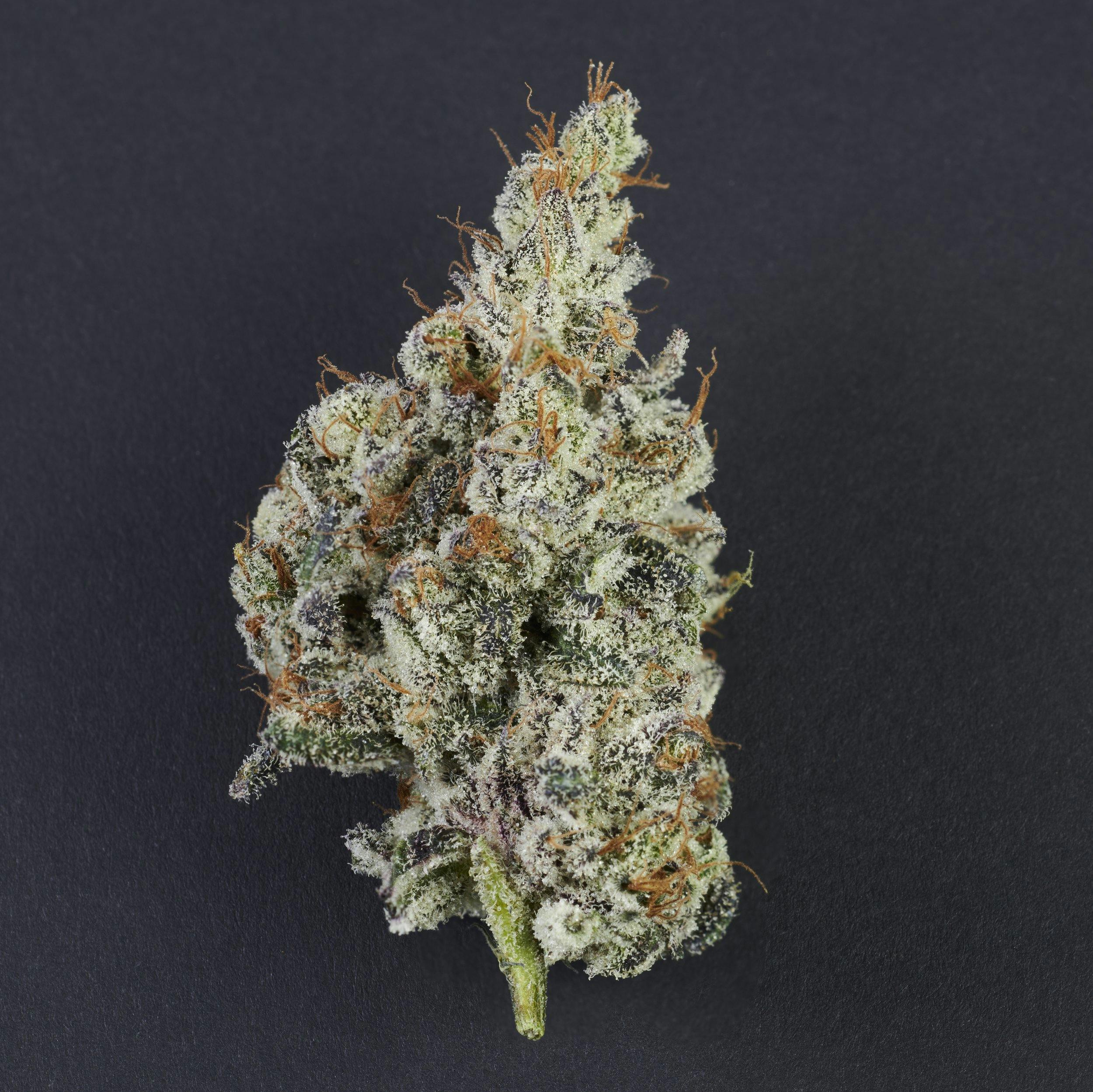 Photo of Impressed Unbroken Chain 3.5g