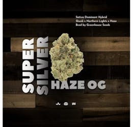 Super Silver Haze OG - Popcorn Buds 7g