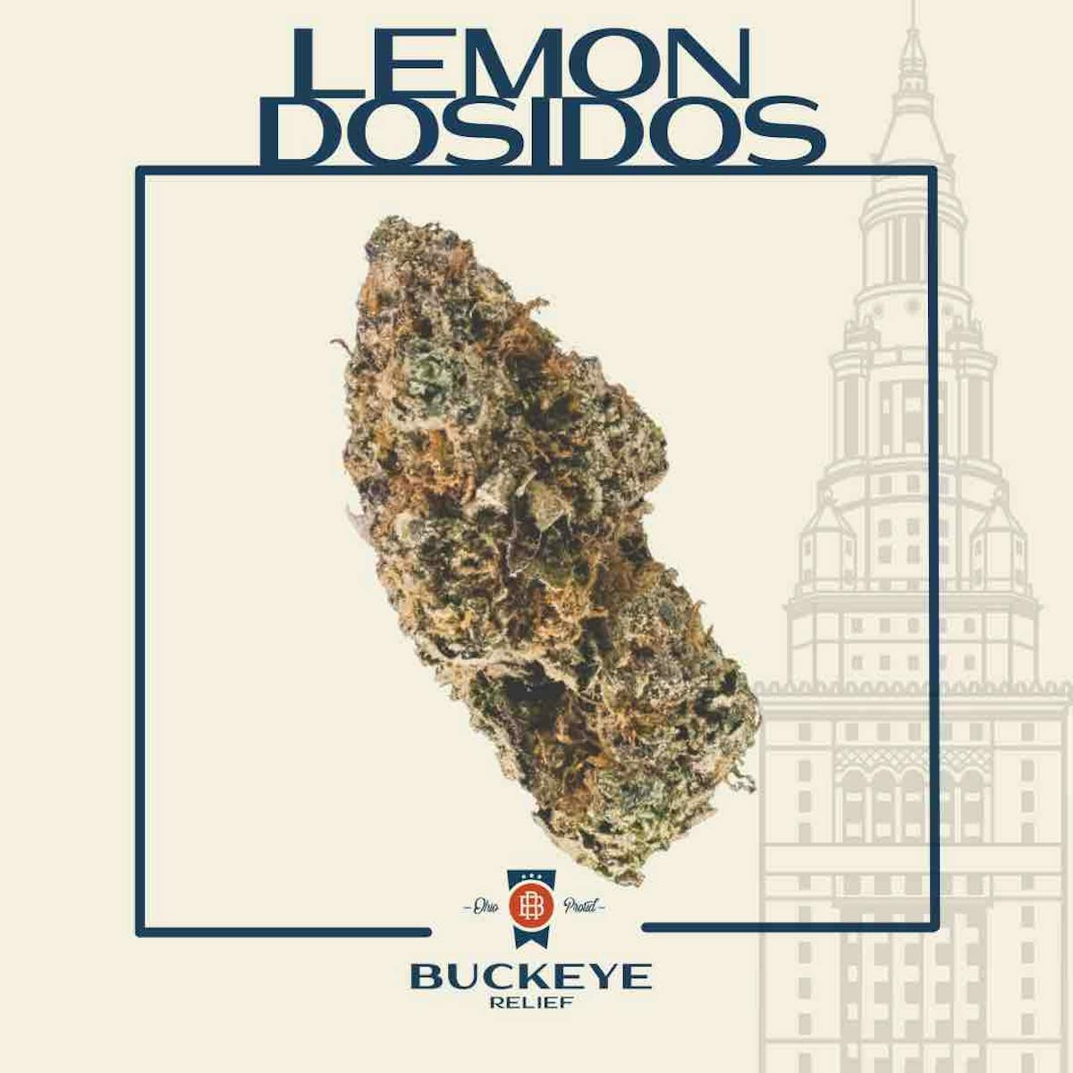 Photo of Lemon Dosidos