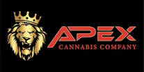 Apex Logo