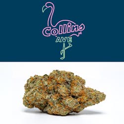 Kind Tree-Preroll-Collins Ave 1g 1pk