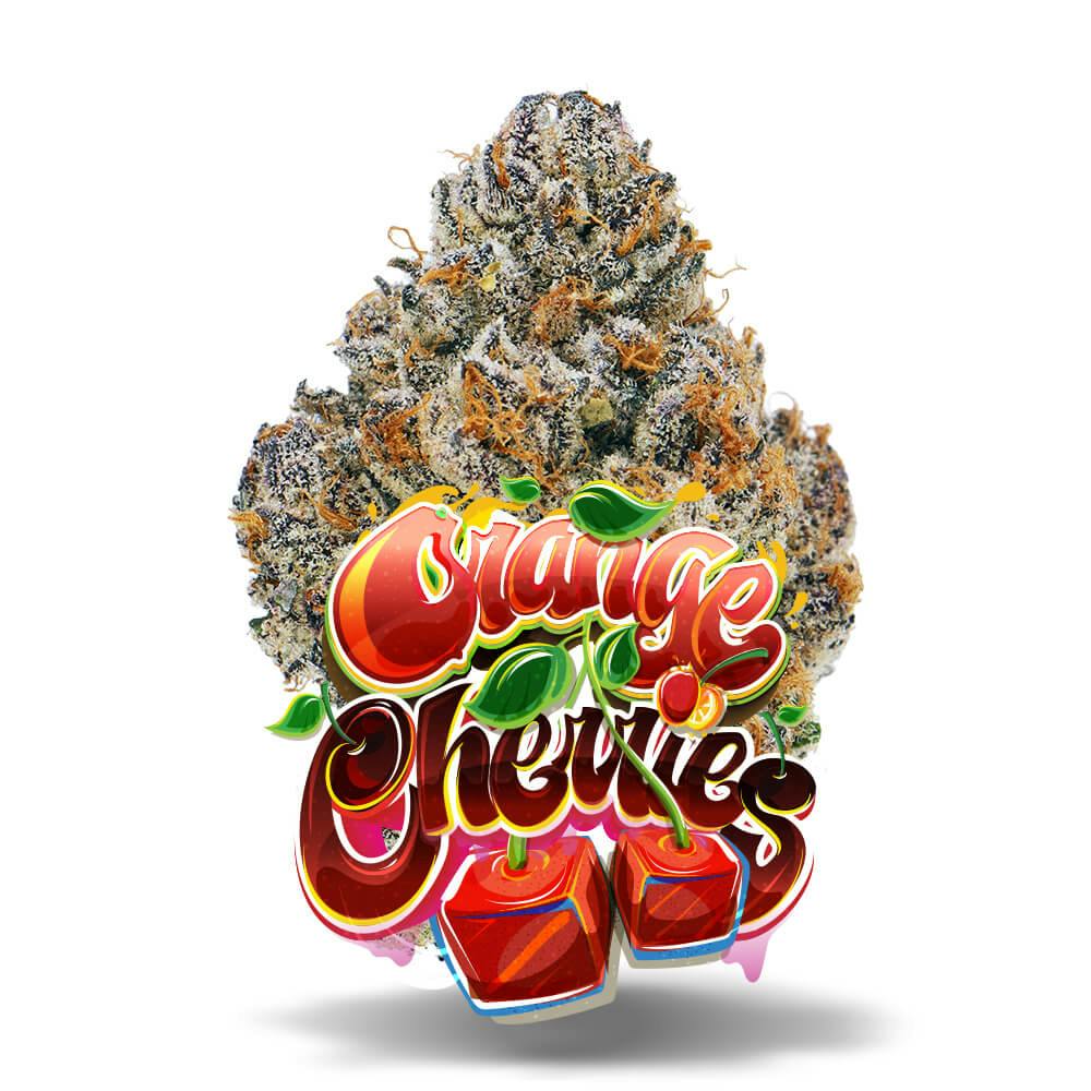 Shop Orange Cherries - Premium Flower in Bonita Springs | Jungle Boys