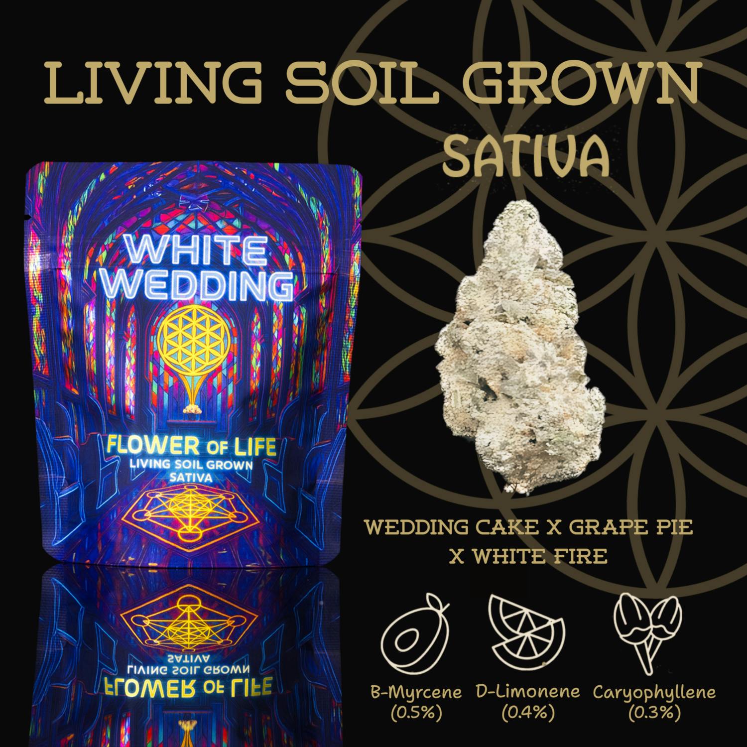 Product: Flower of Life | Bulk Bud - White Wedding