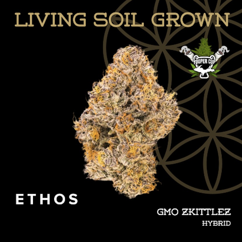 Flower Of Life Flower GMO Zkittlez