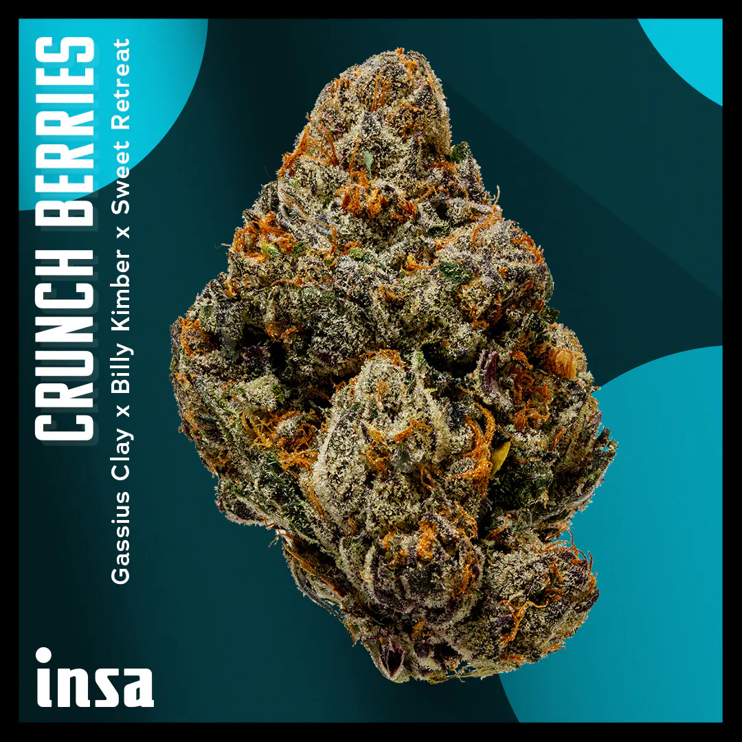 Cannabis Dispensary in Springfield, MA | Open Daily