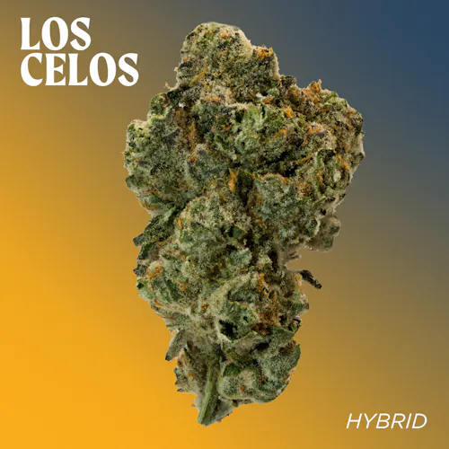 Deli Style | Los Celos – Sativa-active