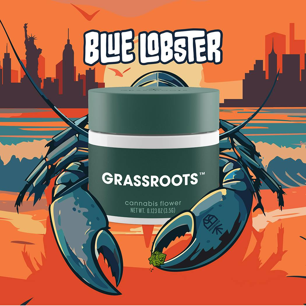 Grassroots | Blue Lobster | 3.5g