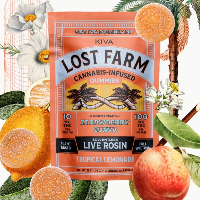 Tropical Lemonade x Ztrawberry Guava Rosin Gummies - 10pk