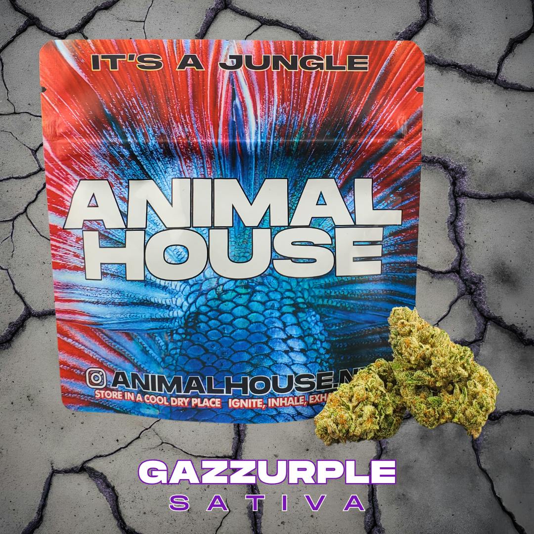 Animal House Gazzurple 3.5G