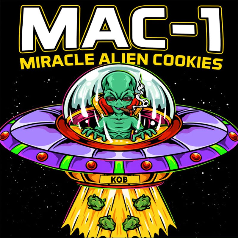 DELI - MAC 1 (Smalls)