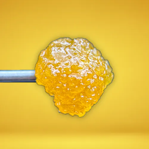 Sun | Live Sugar | Thug Roze | 1g-2