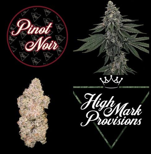 image of Pinot Noir | 5pk .5g Prerolls