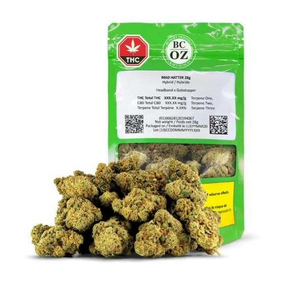 Image of product