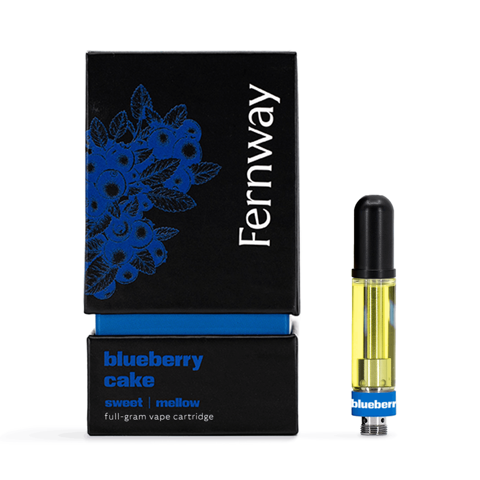 image of Blueberry Cake | 1g