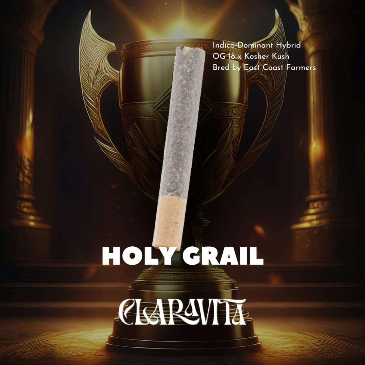 Holy Grail | Cannon Pre-Roll