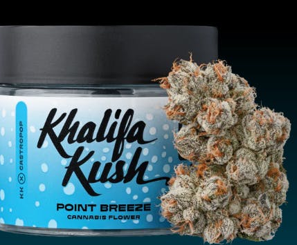 Product Point Breeze Buds