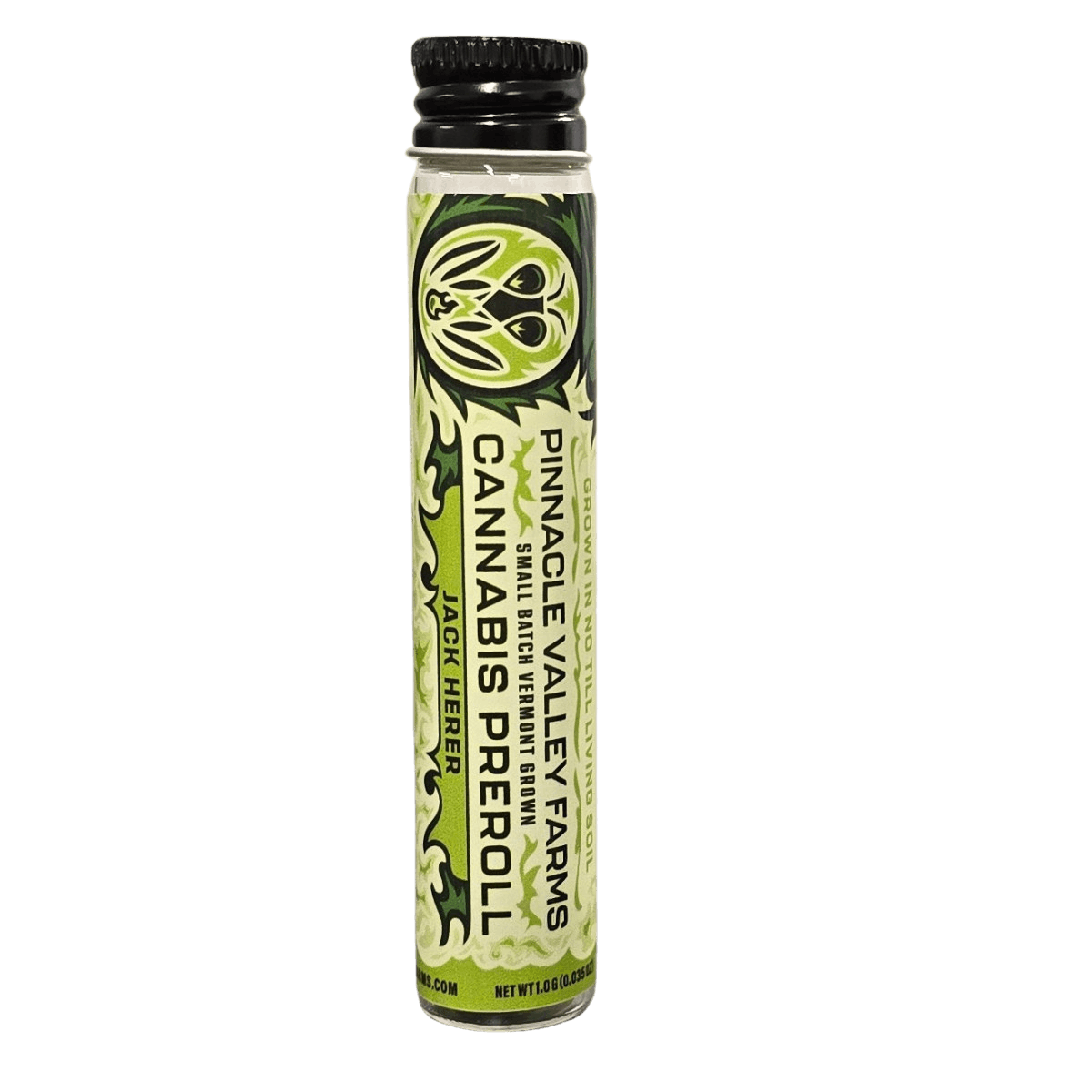 Image of Jack Herer | 1g Preroll