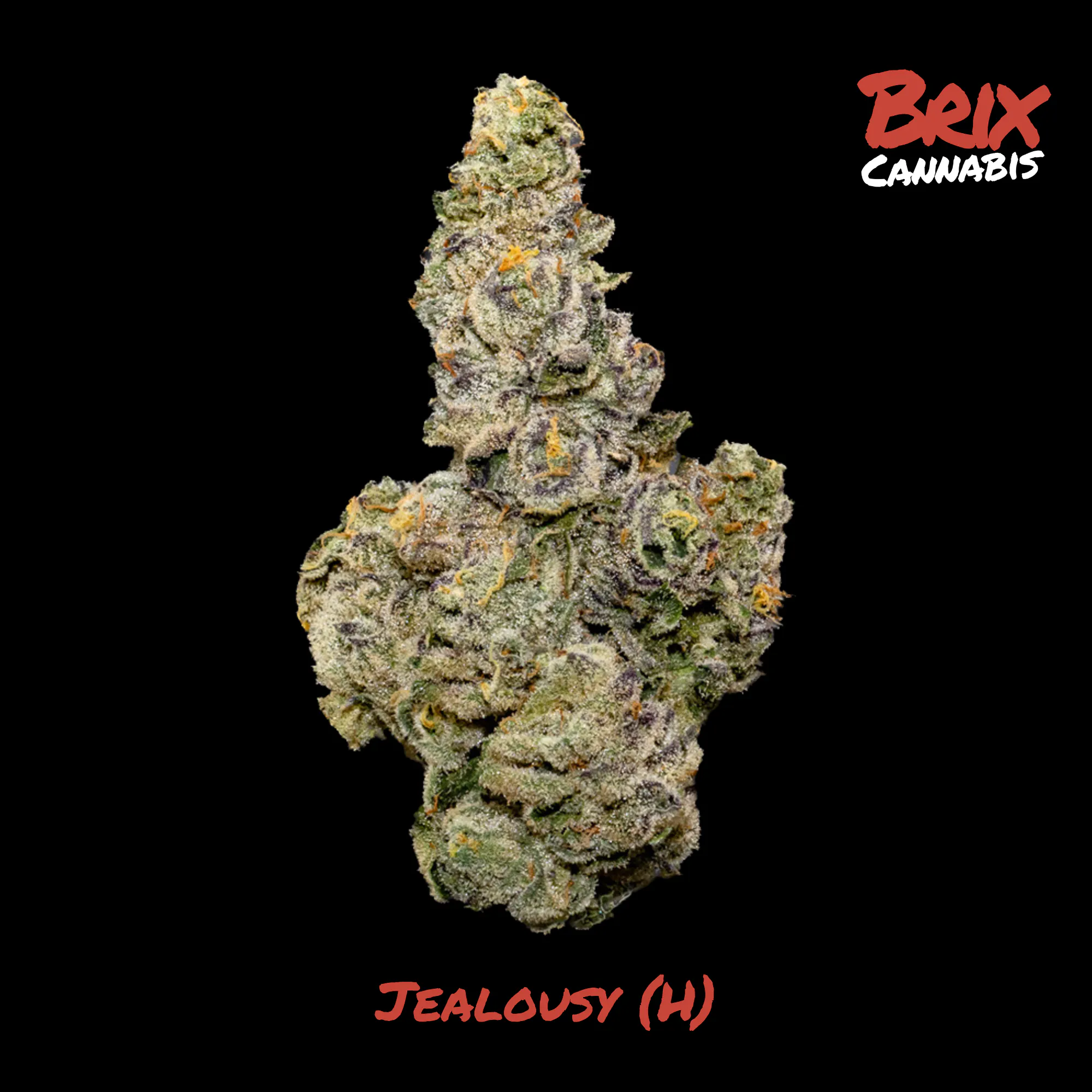 Jealousy Lil' Budz T27.85 (00547) at Still River Wellness