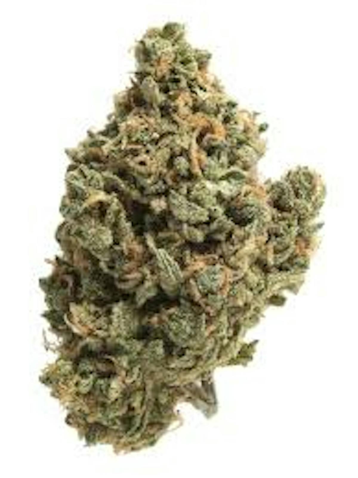 Photo of Platinum Shelf – Raspberry Punch (I)