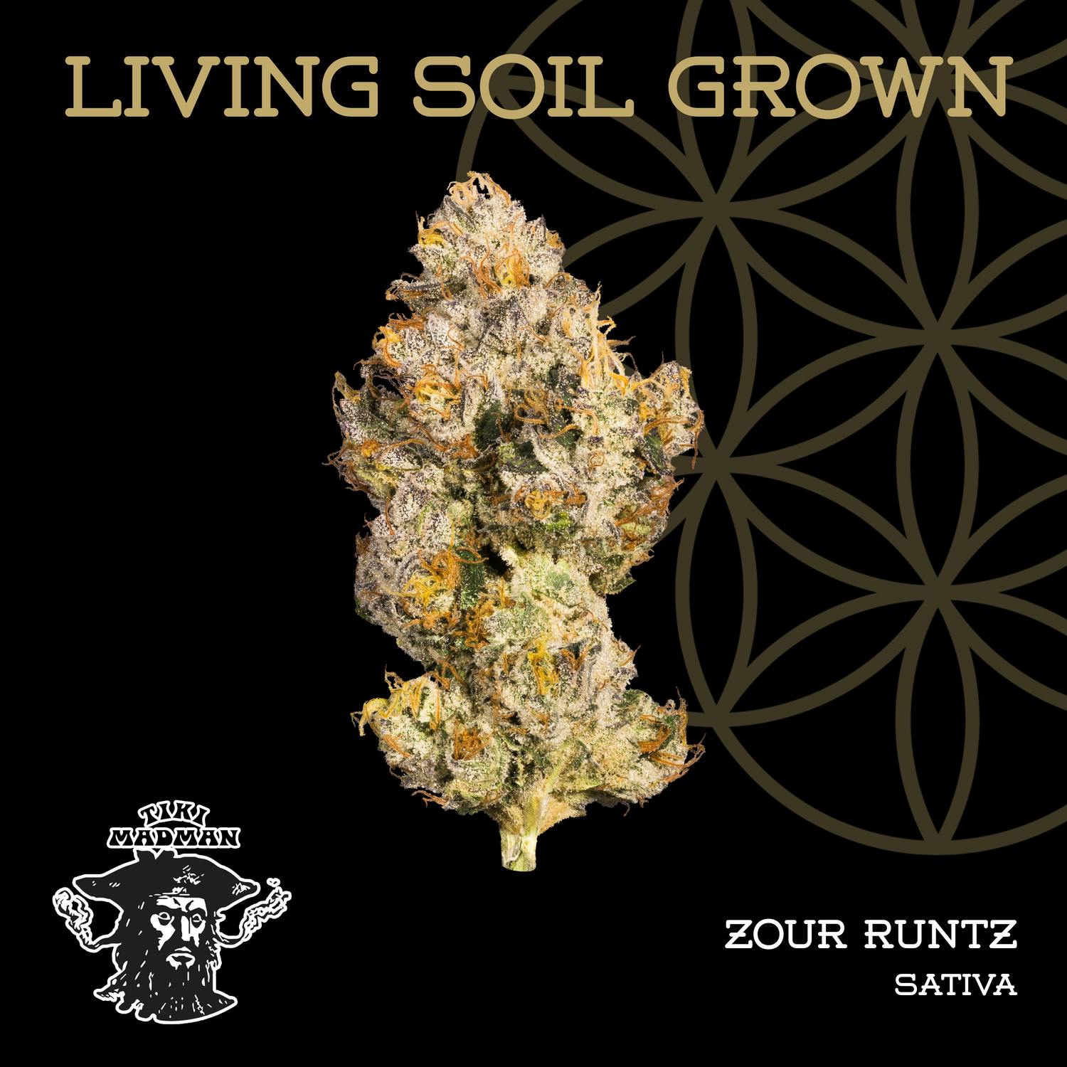 Product: Flower of Life | Bulk Bud - Zour Runtz