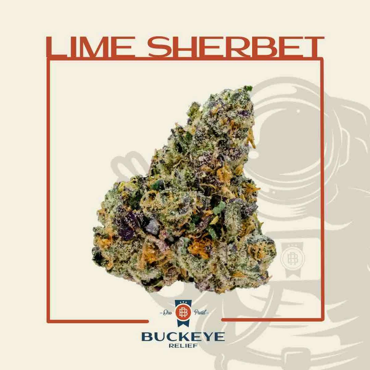 Photo of Lime Sherbet