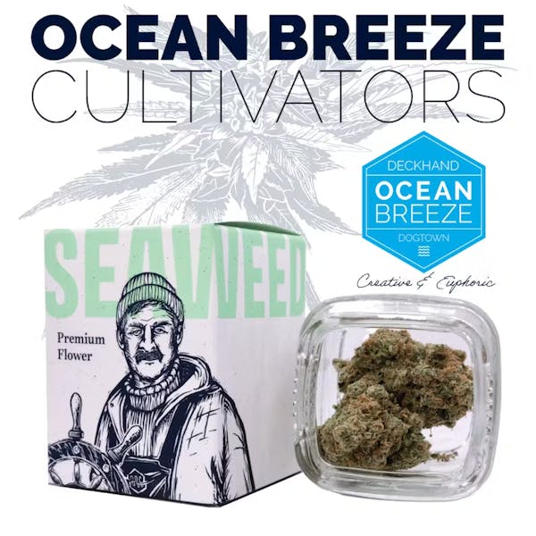 Oreo Stomper S1 (I) - 3.5g - Ocean Breeze Cultivators