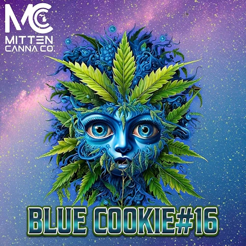 DELI - Mitten Canna - Blue Cookie