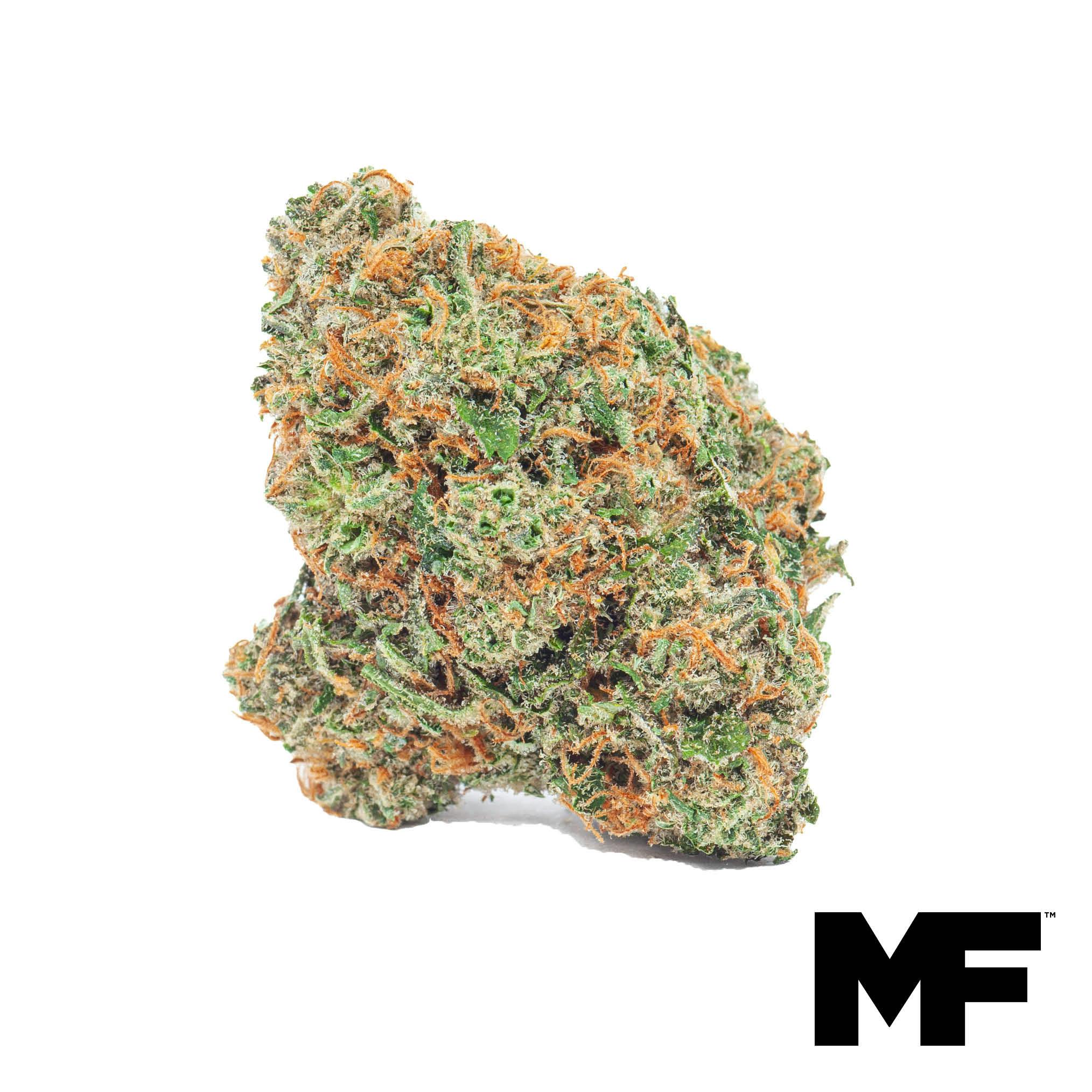 Gelato