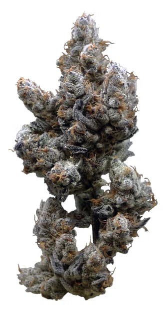 Product: Melted Marshmallowz [3.5g]