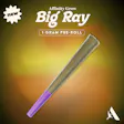 Arrigoni Haze Big Ray Single