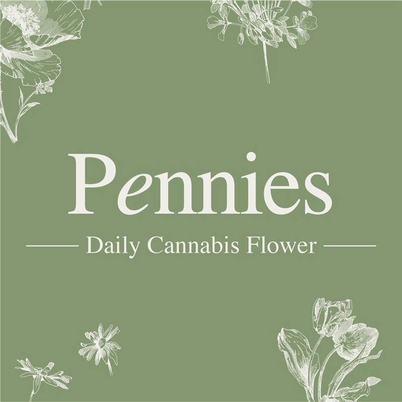 Image of Permanent Pop