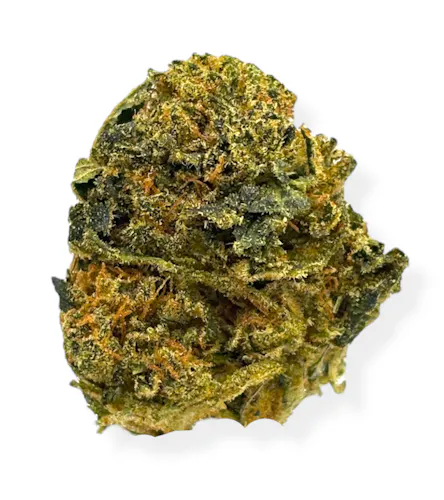 OG Farms Kombucha Prepack Rec-active