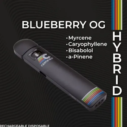 Blueberry OG | Flex Disposable-1