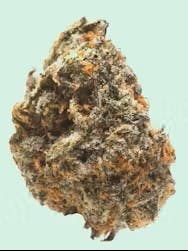 Product: COMMON CITIZEN | Z LATO | BULK | HYBRID