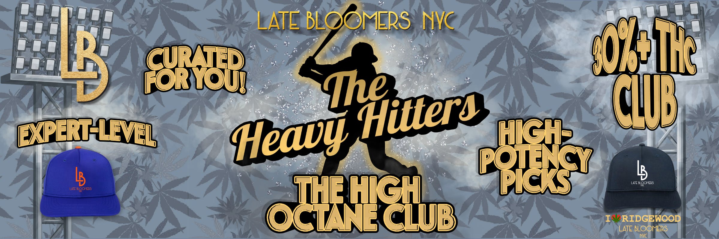 LATE BLOOMERS NYC HIGH OCTANE CLUB WEB BANNER
