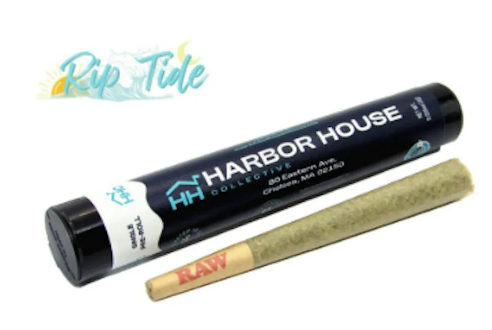 Product Harbor House | Zeclair | Preroll