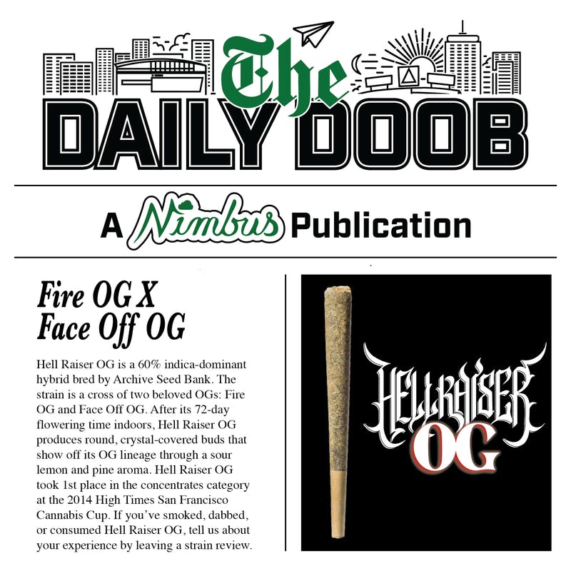 Buy Nimbus Hell Raiser OG | Pre-Roll | 1g for Sale - Quincy