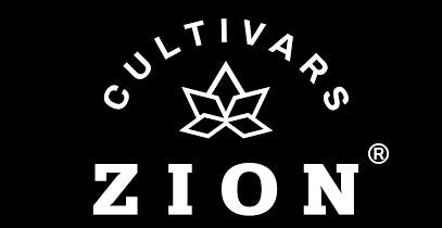 Pina Colada | 40mg - 10 Count