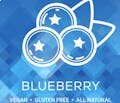 Ohio Processing Plant: Blueberry - Gummies 10pk 220mg