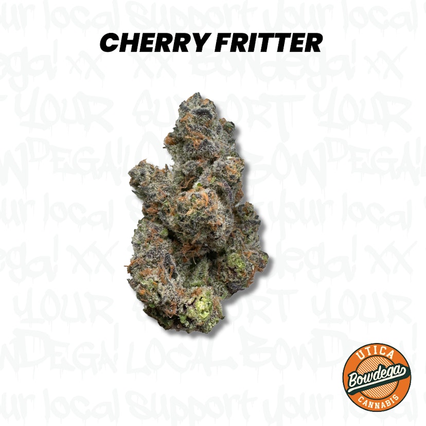 Bowdega | Cherry Fritter