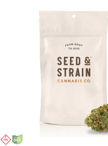 Pink Burst | 14.15g-active