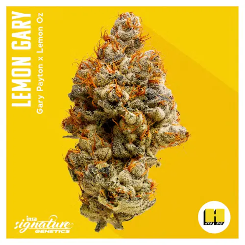 Lemon Gary (H) – 3.5g – INSA-active