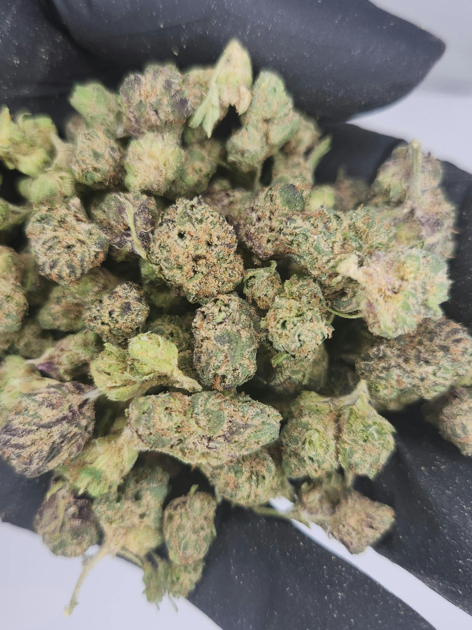 Product: Nura | Bulk Bud - Gelato Limon