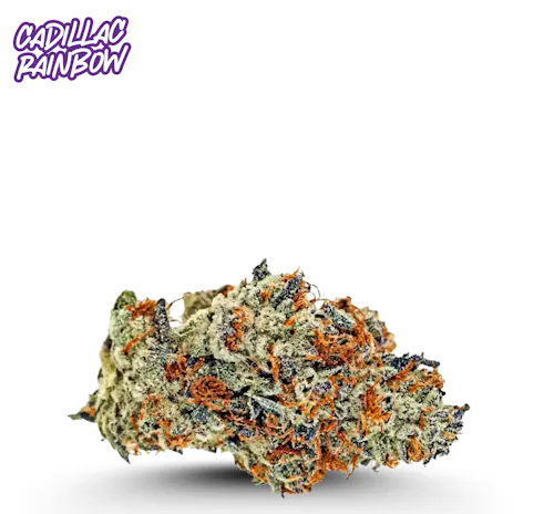 Cadillac Rainbows 3.5g – Fade Co. Holy Grail Series (Pre-Pack)-1