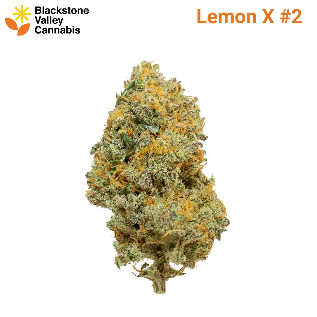 Blackstone Valley Cannabis Lemon X | Flower | 3.5g - Clear Sky