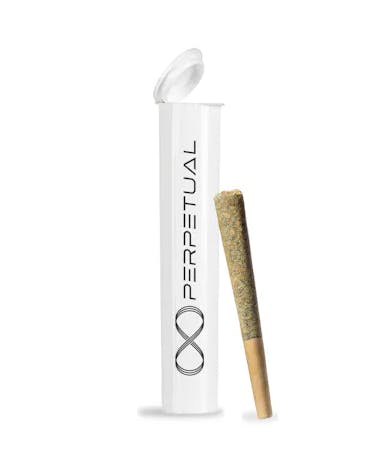 Product Perpetual | Garlic Juice | Preroll