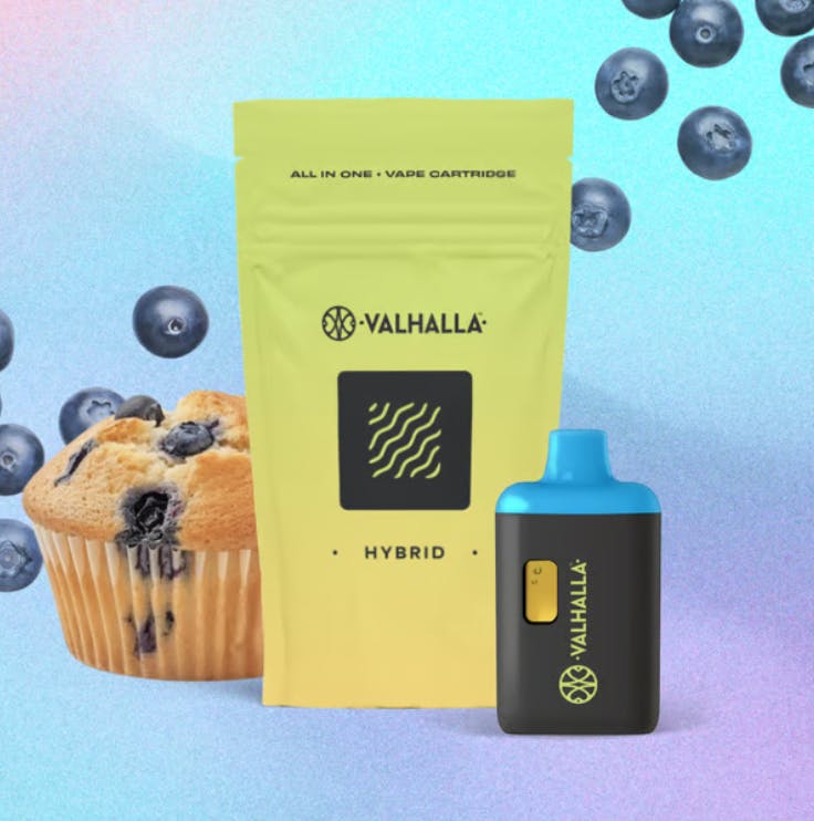 Buy Vaporizers for Sale - Union Chill Cannabis Company Dispensary in  Lambertville, NJ