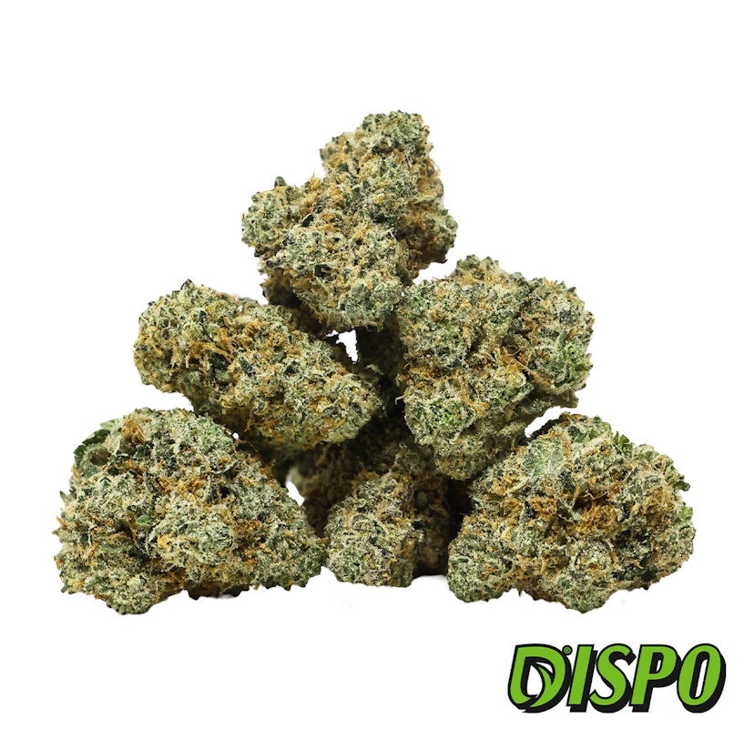 Fatso - Buds