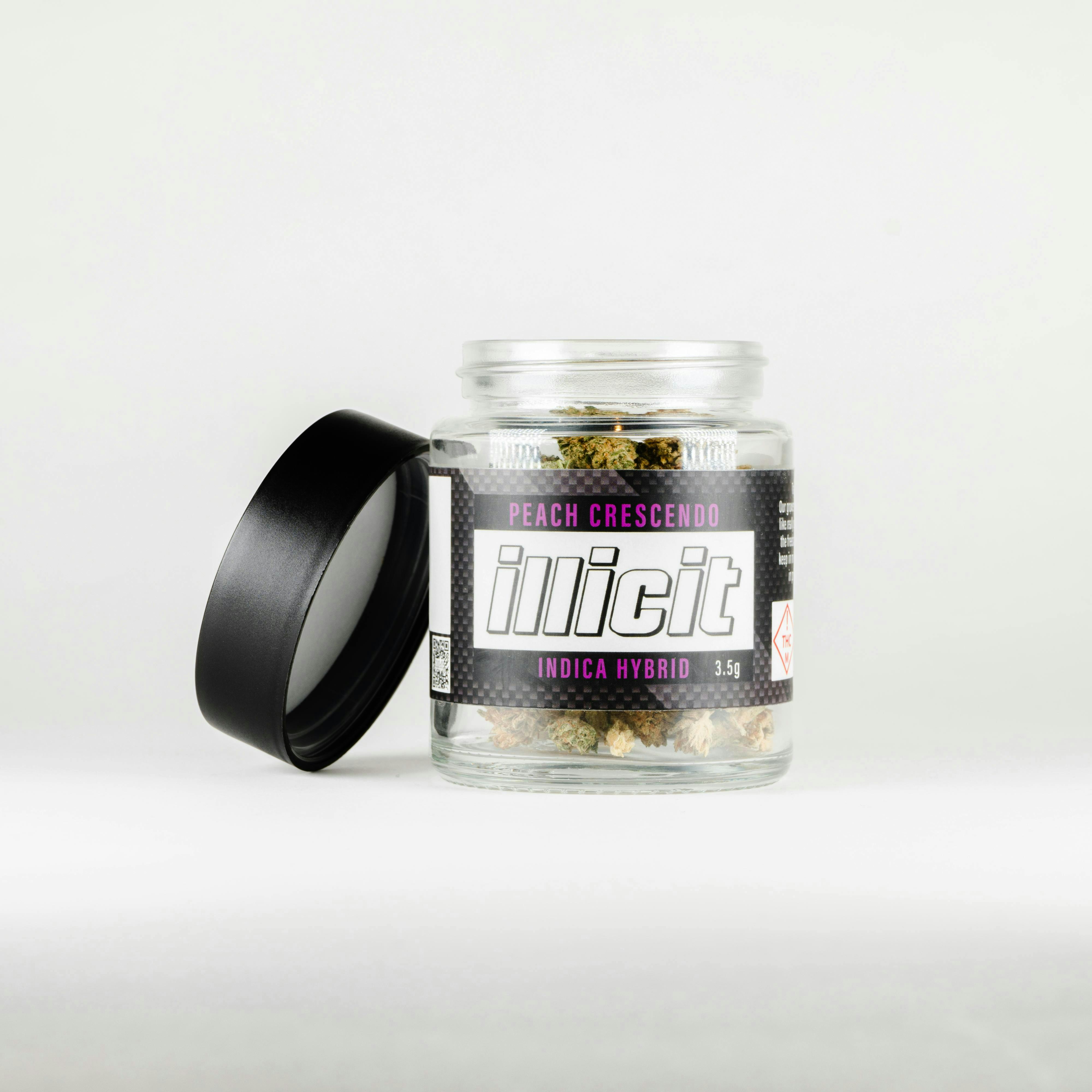 Illicit Peach Crescendo