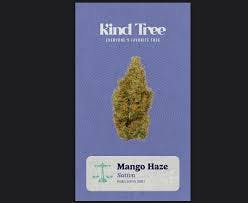 Photo of KT Mango Haze Live Res Cart .5